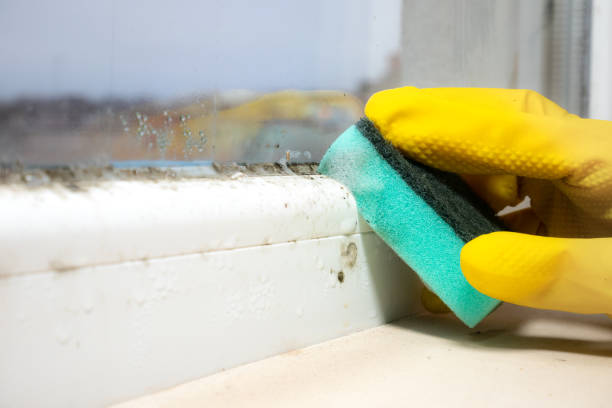 Best Residential Mold Removal  in Derby, CO